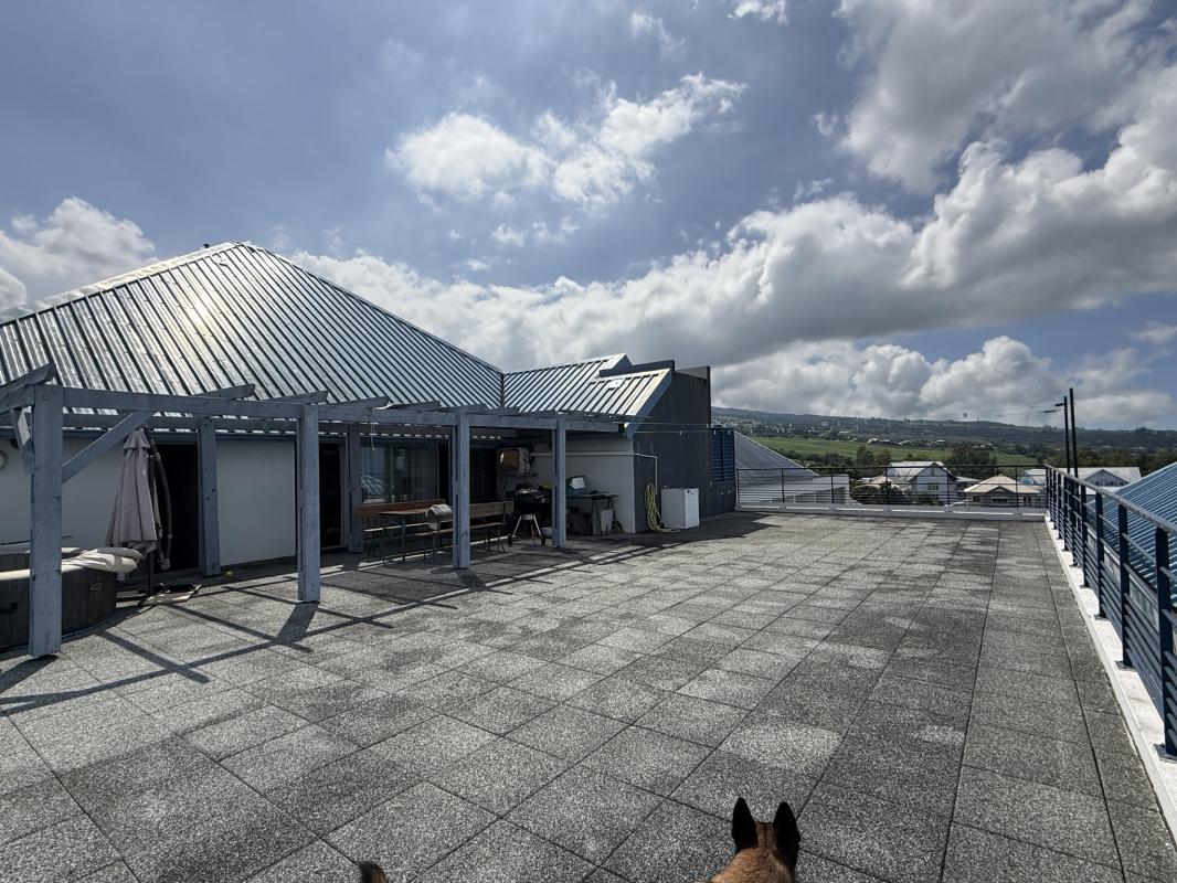 Logo Immobilier réunion_edited.jpg