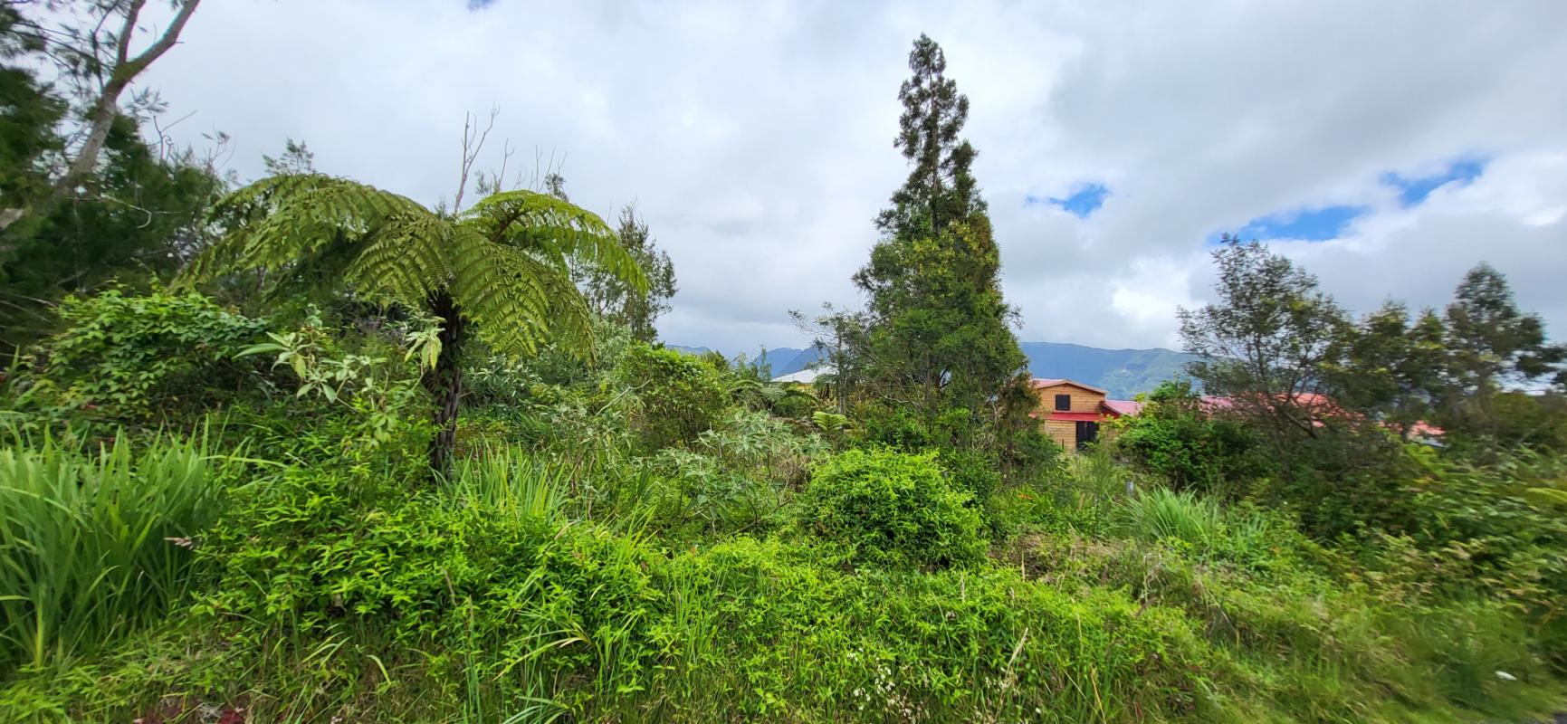 Modern Design Accueil