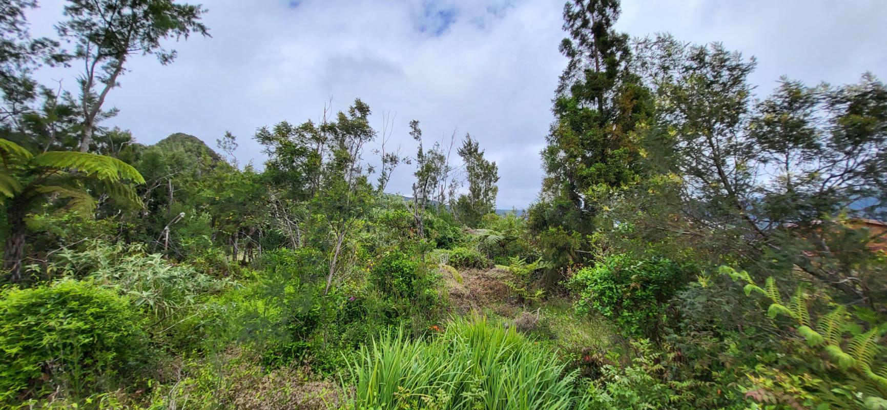 Maison Blanche moderne