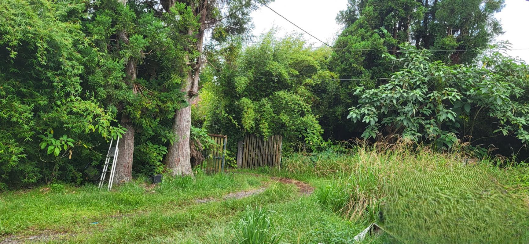 Modern Design Accueil