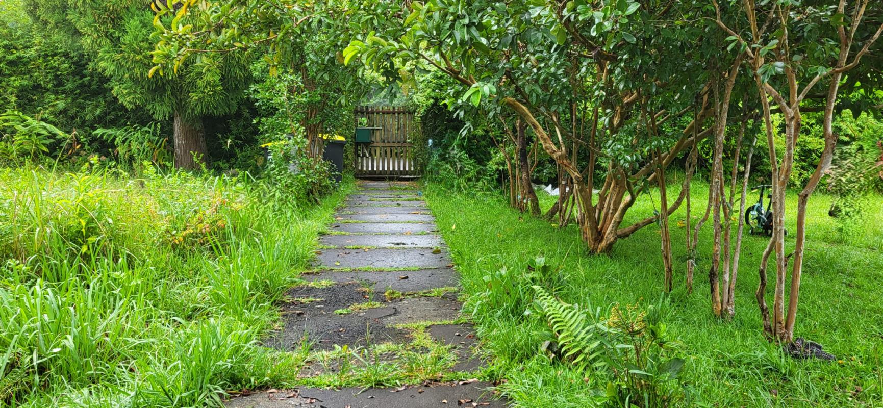 Maison Blanche moderne