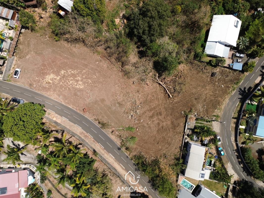 Logo Immobilier réunion_edited.jpg