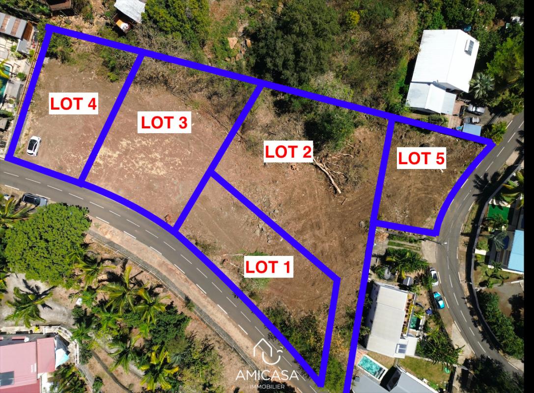 Logo Immobilier réunion_edited.jpg