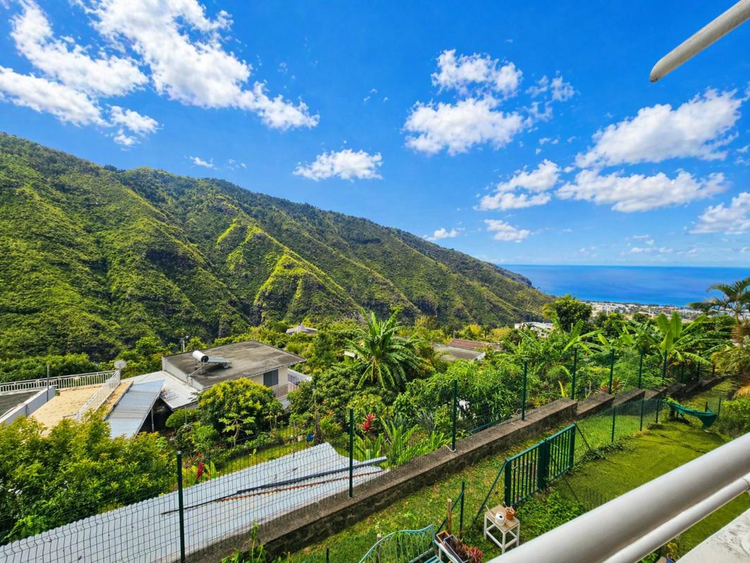 Logo Immobilier réunion_edited.jpg