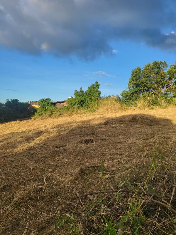 Modern Design Accueil