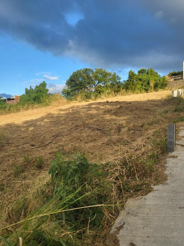 Maison Blanche moderne