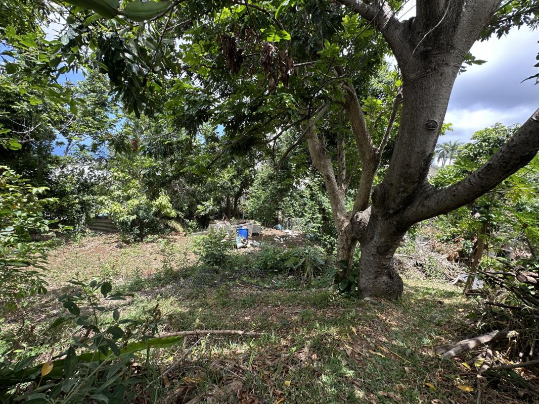 Maison Blanche moderne