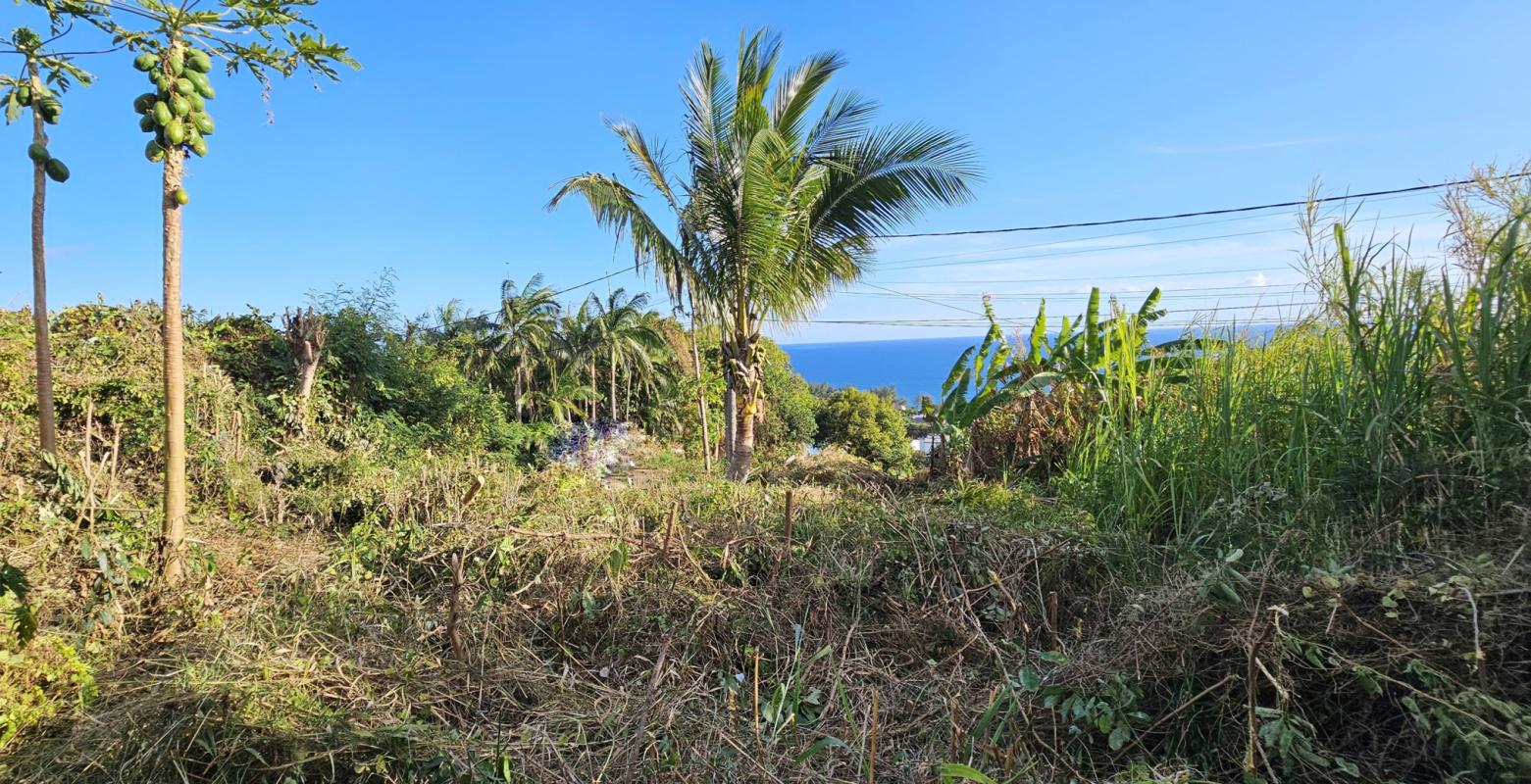 Moderne Maisons d'Hôtes Quartier