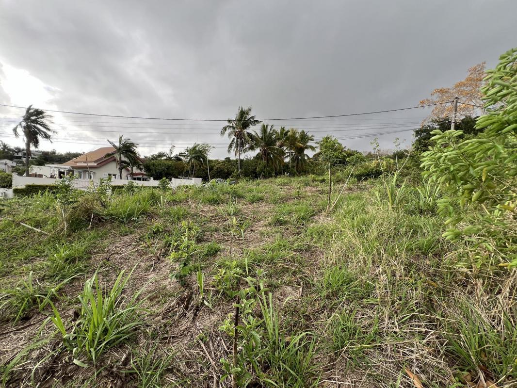 Modern Design Accueil