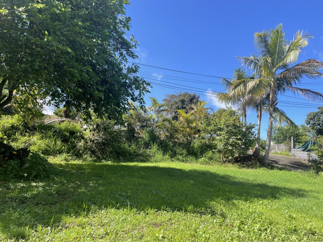 Modern Design Accueil