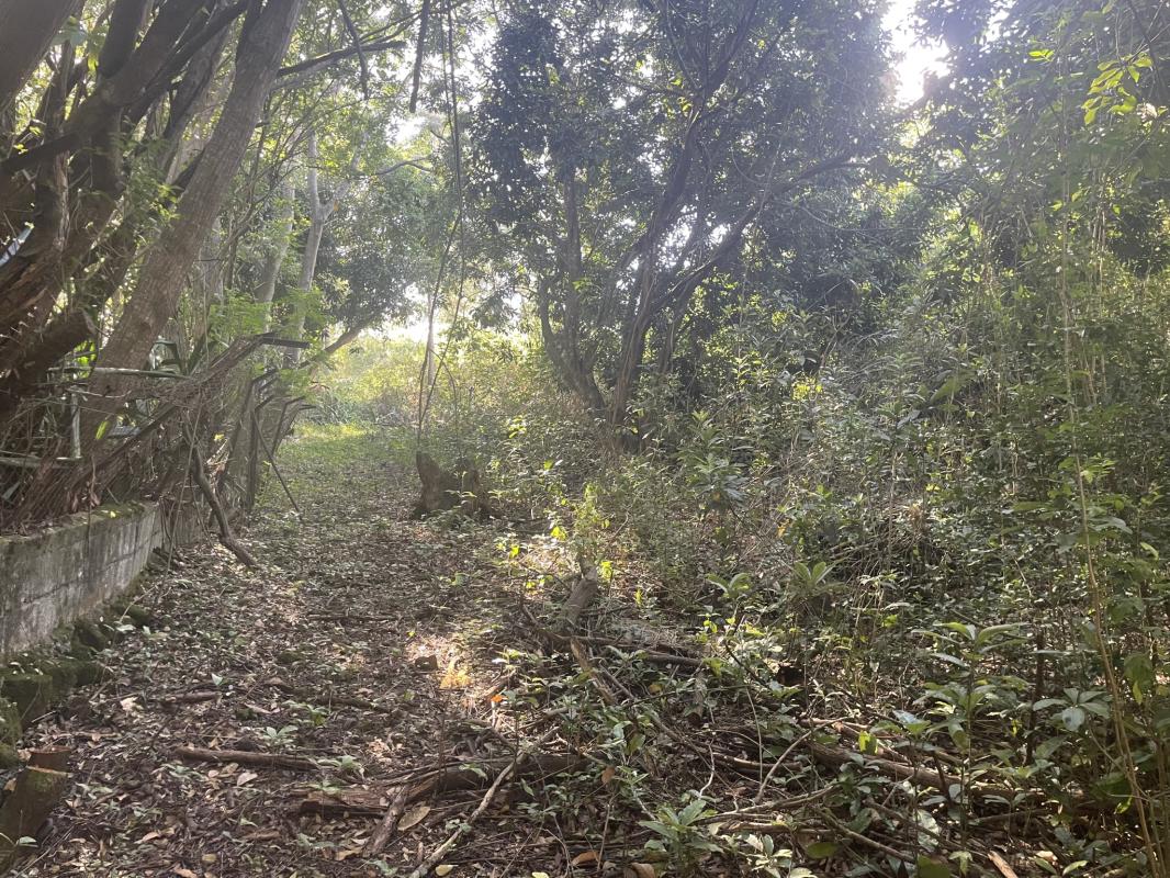 Modern Design Accueil