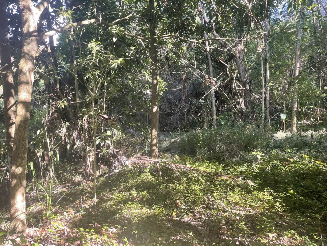 Maison Blanche moderne