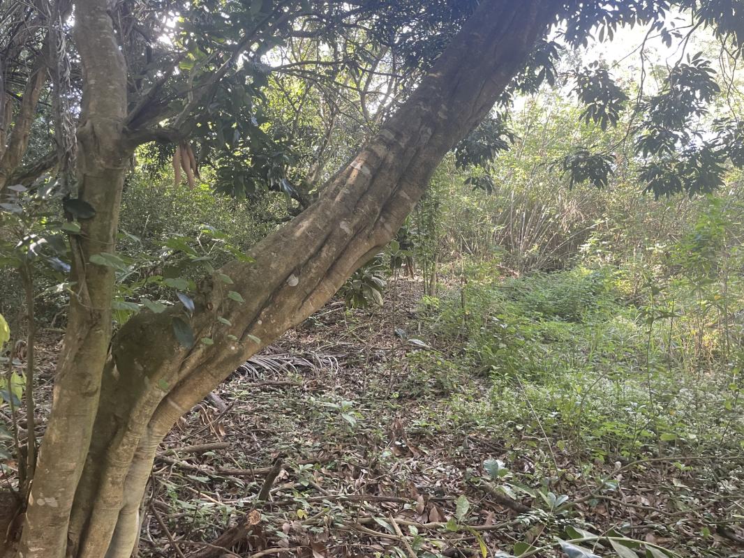 Moderne Maisons d'Hôtes Quartier 