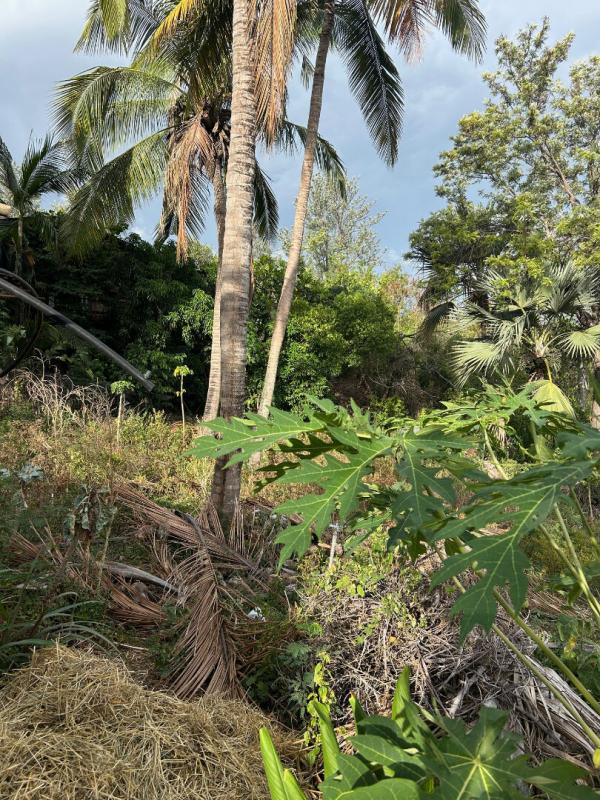 Modern Design Accueil