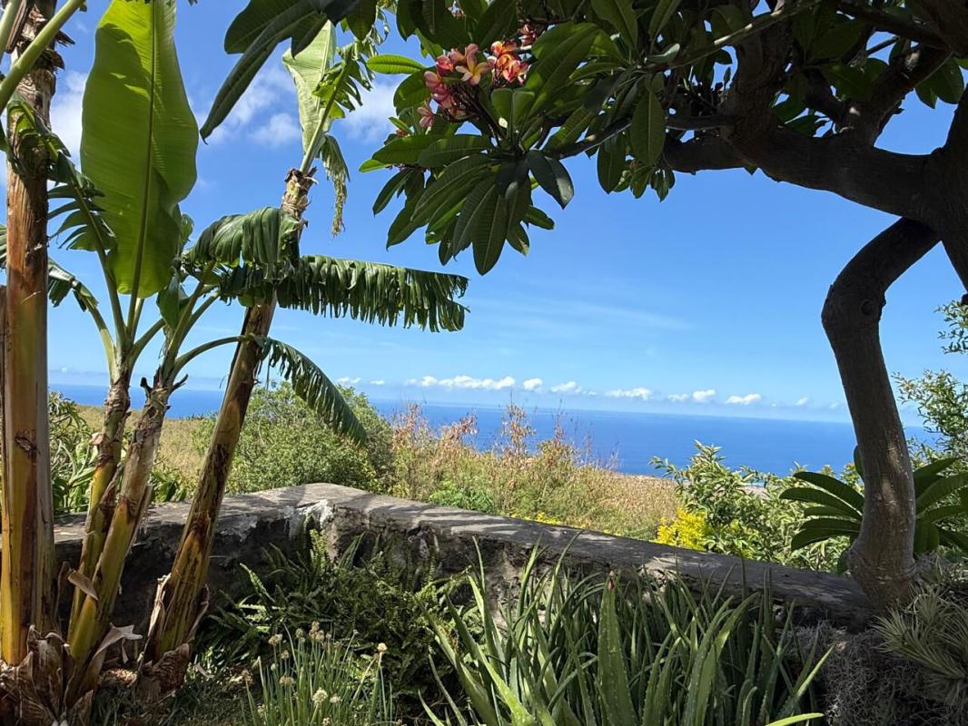 Maison Blanche moderne