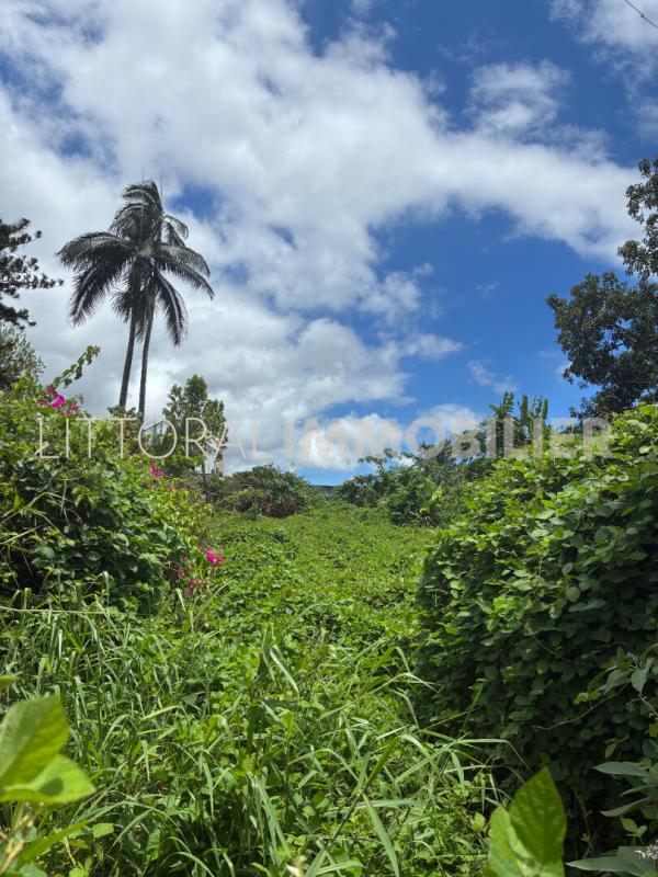 Modern Design Accueil