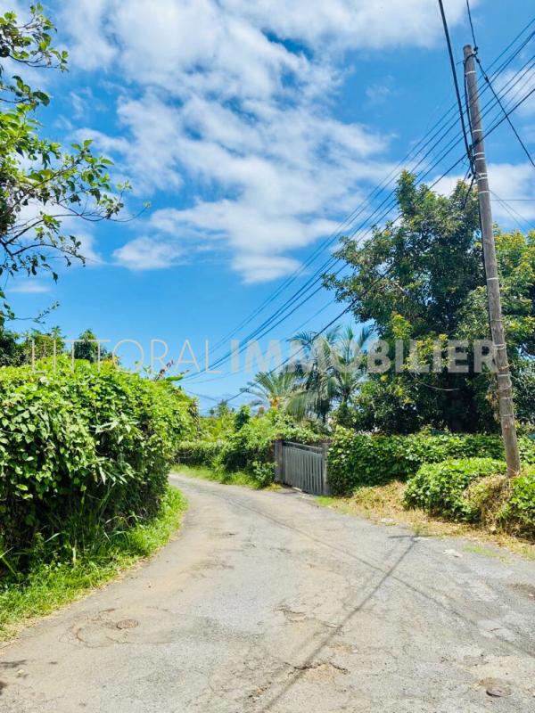 Maison Blanche moderne