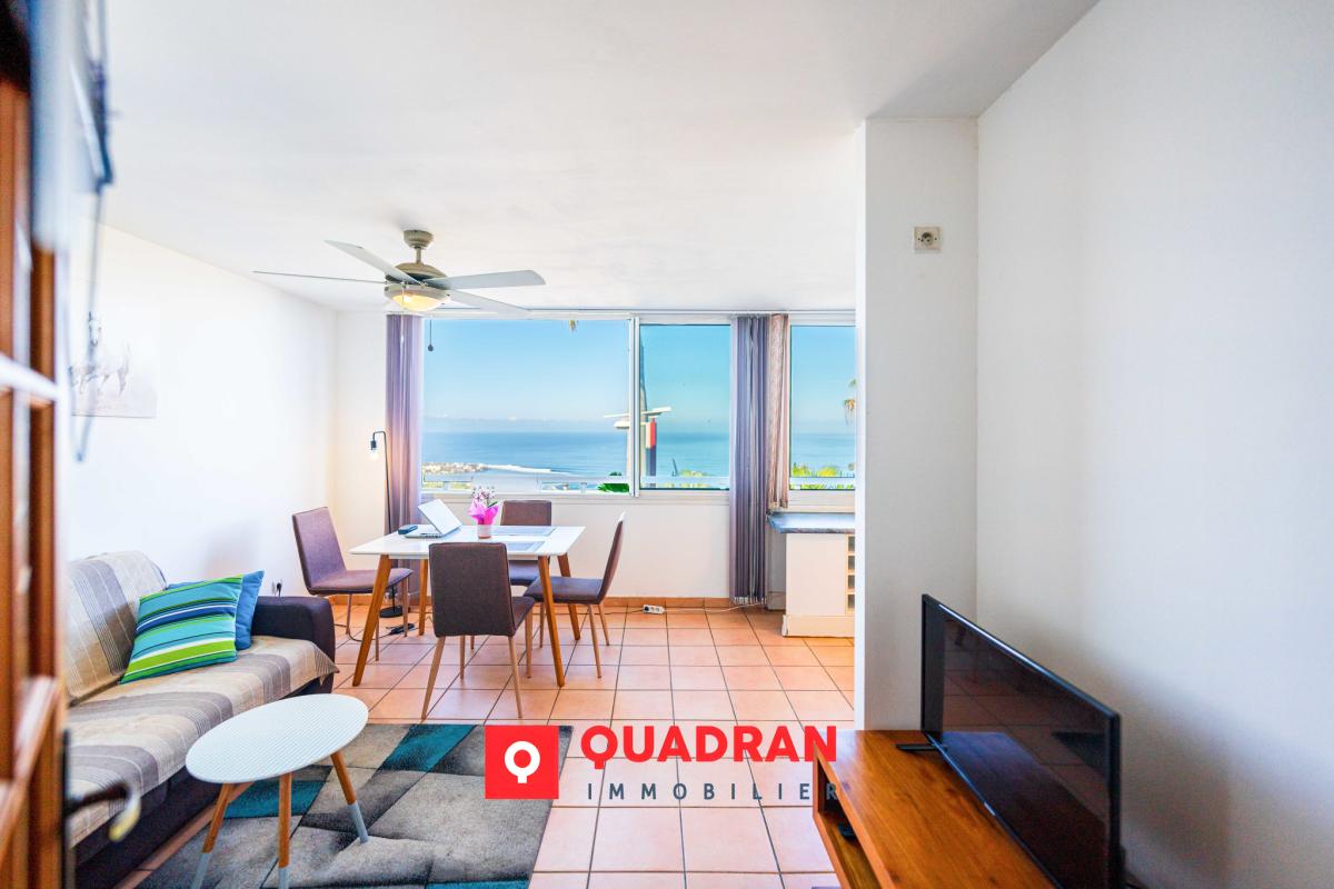 Logo Immobilier réunion_edited.jpg