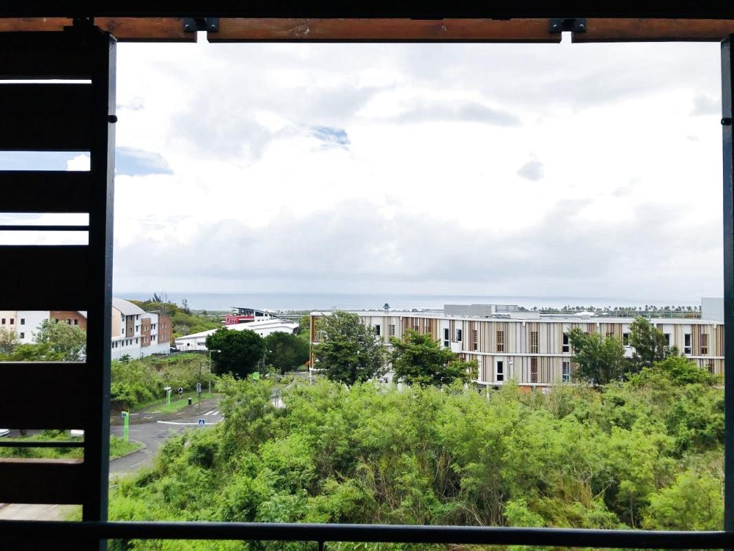 Logo Immobilier réunion_edited.jpg