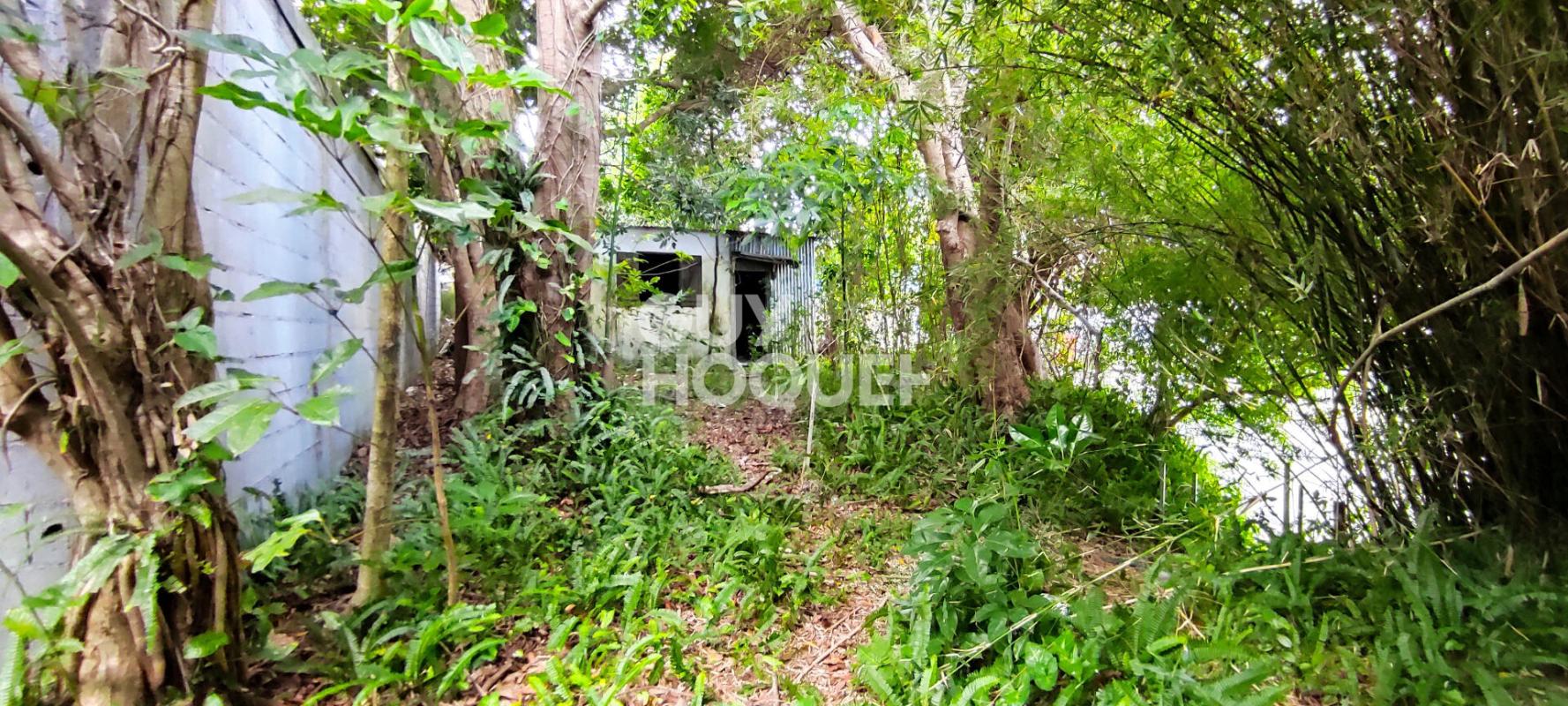 Maison Blanche moderne