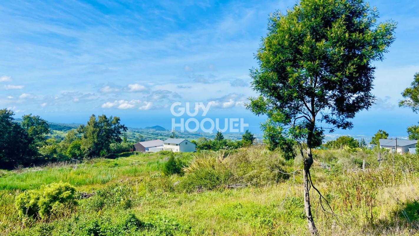 Modern Design Accueil