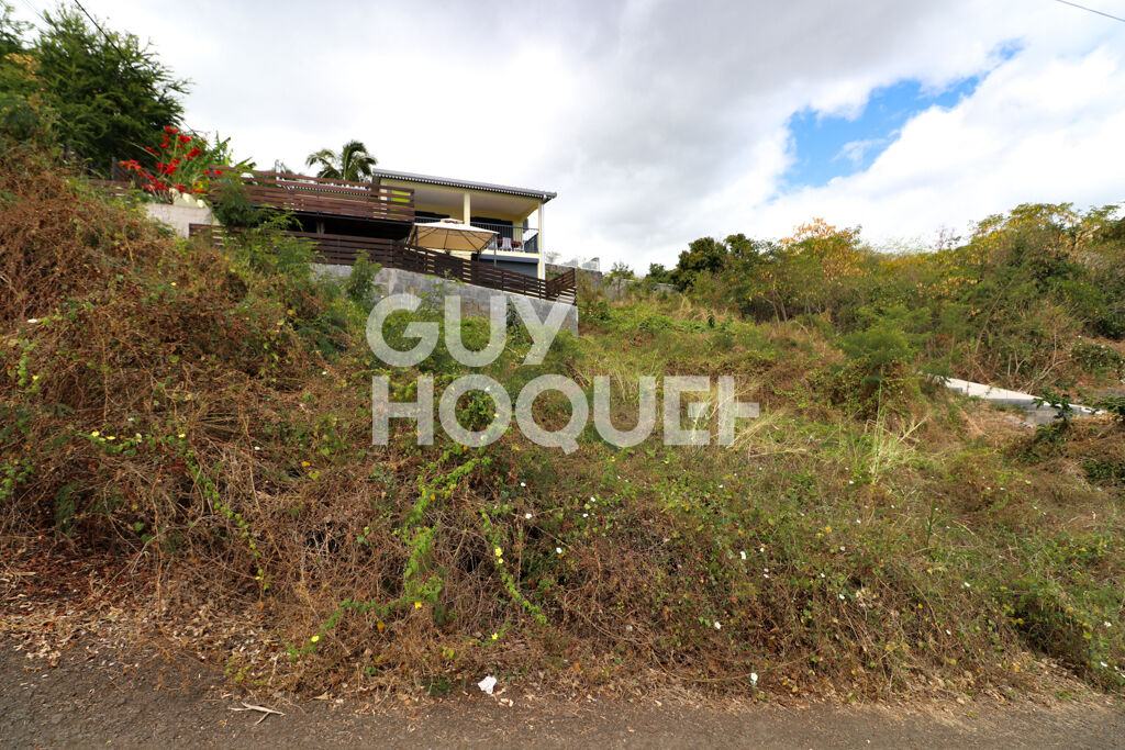 Modern Design Accueil