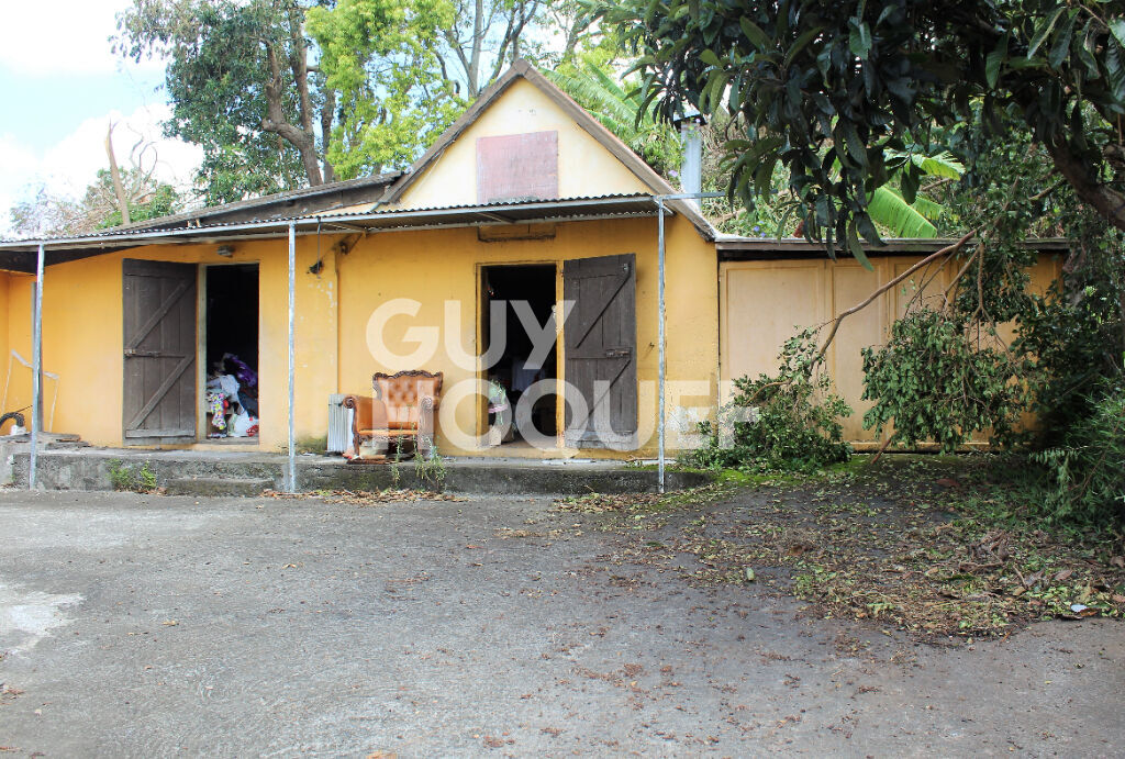 Maison Blanche moderne