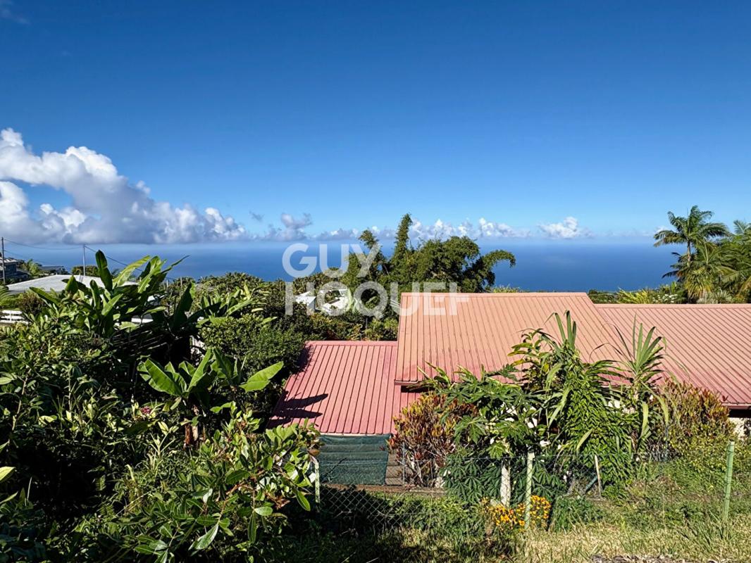 Logo Immobilier réunion_edited.jpg